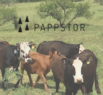 pappstor