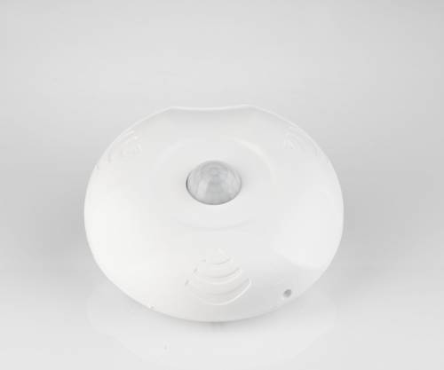 Ceiling surface mounted motion sensor