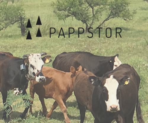 Pappstor-cattle tracking & geopositioning (Precision livestock farming)